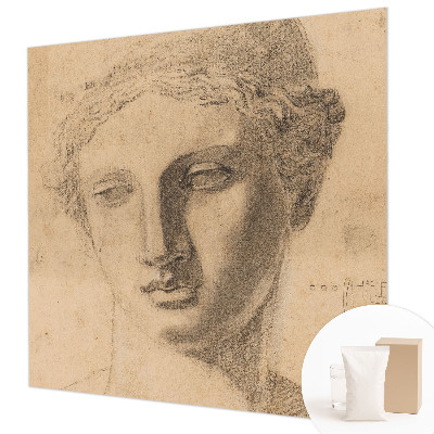 Fototapeta do obýváku Ženský portrét