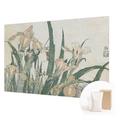 Fototapeta s potiskem na vliesu Jemné kosatce