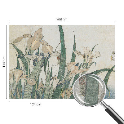 Fototapeta s potiskem na vliesu Jemné kosatce