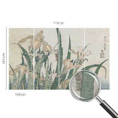 Fototapeta s potiskem na vliesu Jemné kosatce