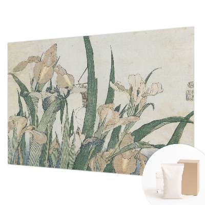 Fototapeta s potiskem na vliesu Jemné kosatce