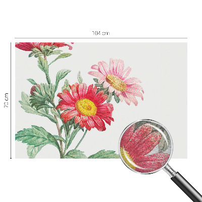 Fotografická tapeta na vliesu Křehké květiny