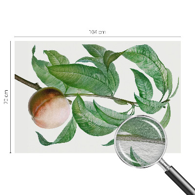 Vliesová fototapeta s potiskem Zralá broskev