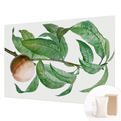 Vliesová fototapeta s potiskem Zralá broskev