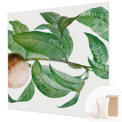 Vliesová fototapeta s potiskem Zralá broskev