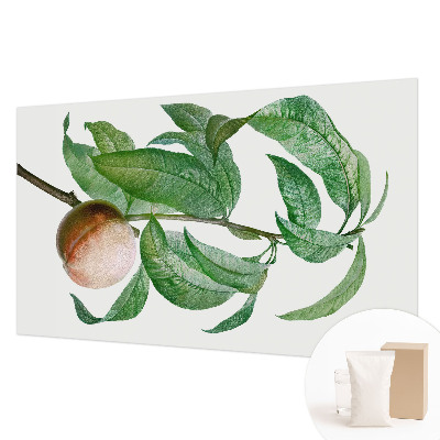 Vliesová fototapeta s potiskem Zralá broskev