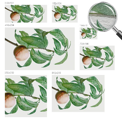 Vliesová fototapeta s potiskem Zralá broskev