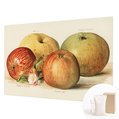 Fototapeta na míru do ložnice Jabloňové květy