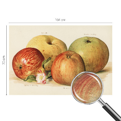 Fototapeta na míru do ložnice Jabloňové květy