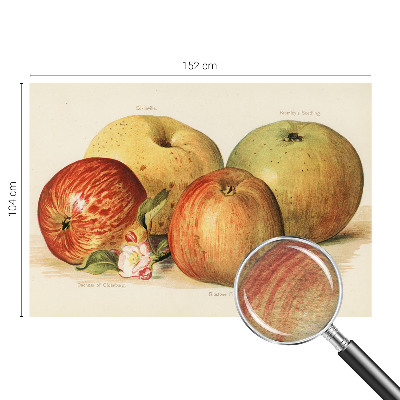 Fototapeta na míru do ložnice Jabloňové květy