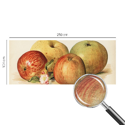 Fototapeta na míru do ložnice Jabloňové květy