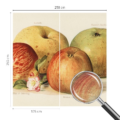 Fototapeta na míru do ložnice Jabloňové květy