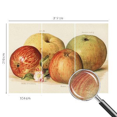 Fototapeta na míru do ložnice Jabloňové květy