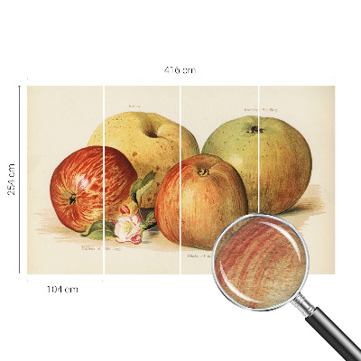 Fototapeta na míru do ložnice Jabloňové květy