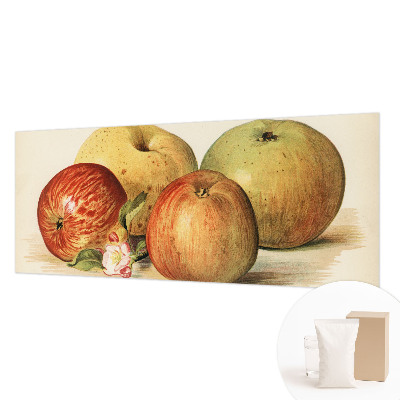 Fototapeta na míru do ložnice Jabloňové květy