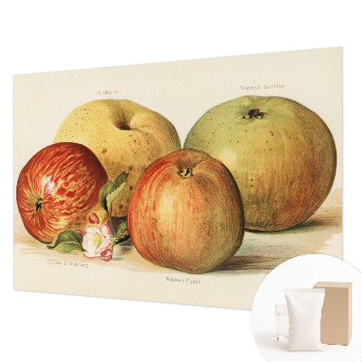 Fototapeta na míru do ložnice Jabloňové květy