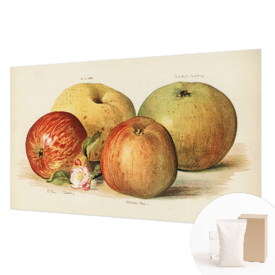 Fototapeta na míru do ložnice Jabloňové květy