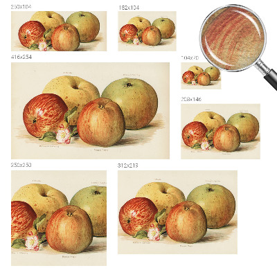 Fototapeta na míru do ložnice Jabloňové květy