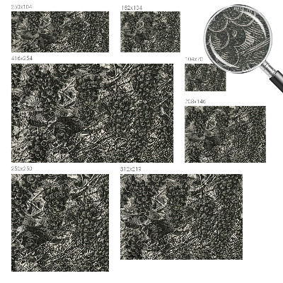 Fototapeta na míru do obýváku Hroznový tisk