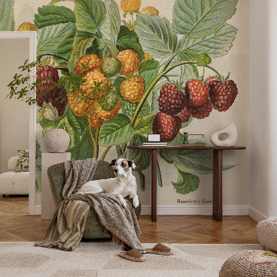 Vliesová fototapeta s potiskem Klasické maliny