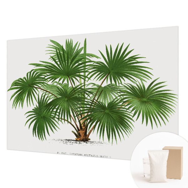 Moderní fototapeta na míru Exotický vzor