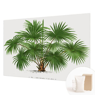 Moderní fototapeta na míru Exotický vzor