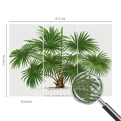 Moderní fototapeta na míru Exotický vzor