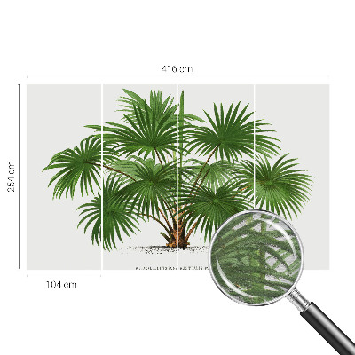 Moderní fototapeta na míru Exotický vzor