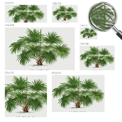 Moderní fototapeta na míru Exotický vzor