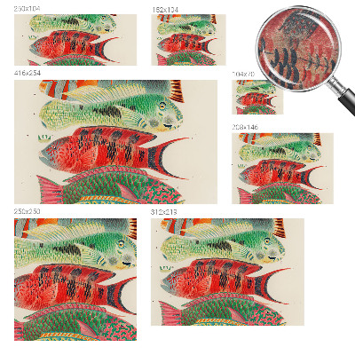 Fototapeta na míru do obýváku Exotické ryby