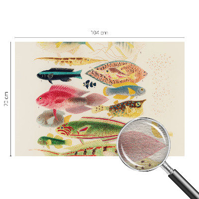 Vliesová fototapeta s potiskem Barevné ryby