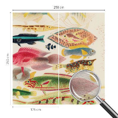 Vliesová fototapeta s potiskem Barevné ryby