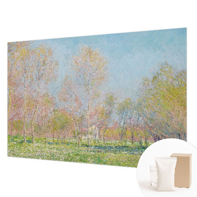 Fototapeta na stěnu Jarní park