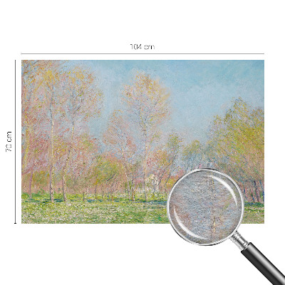 Fototapeta na stěnu Jarní park