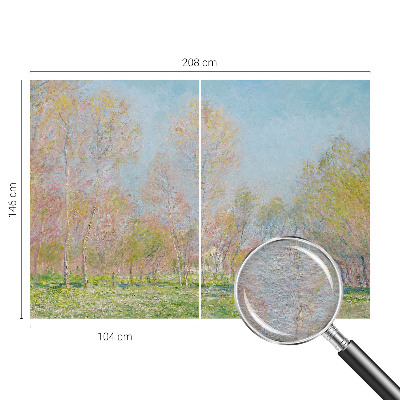 Fototapeta na stěnu Jarní park