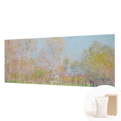 Fototapeta na stěnu Jarní park