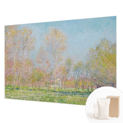 Fototapeta na stěnu Jarní park