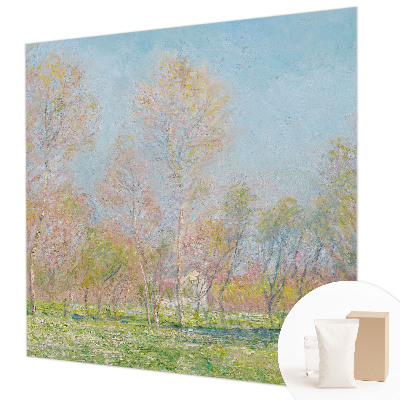 Fototapeta na stěnu Jarní park