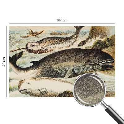 Fotografická tapeta na vliesu Mořští obři