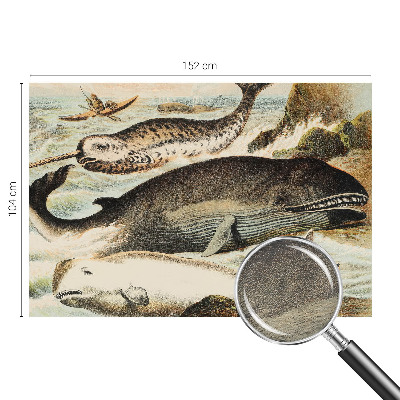 Fotografická tapeta na vliesu Mořští obři