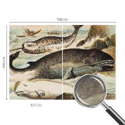 Fotografická tapeta na vliesu Mořští obři