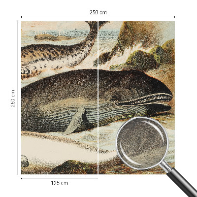 Fotografická tapeta na vliesu Mořští obři