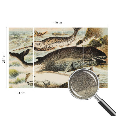 Fotografická tapeta na vliesu Mořští obři