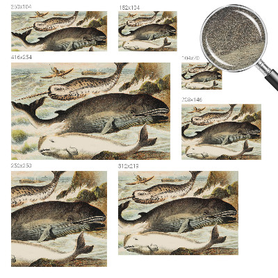 Fotografická tapeta na vliesu Mořští obři