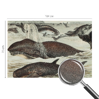 Fototapeta na míru do obýváku Mořští tvorové