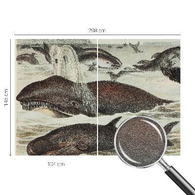 Fototapeta na míru do obýváku Mořští tvorové