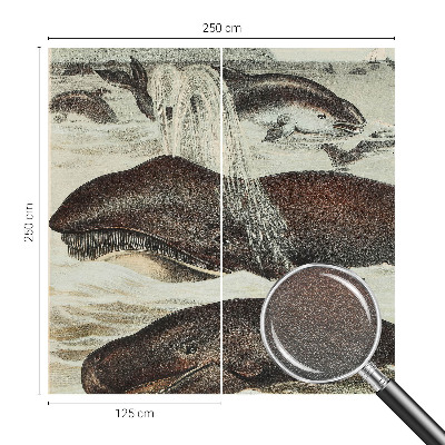 Fototapeta na míru do obýváku Mořští tvorové