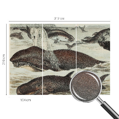 Fototapeta na míru do obýváku Mořští tvorové