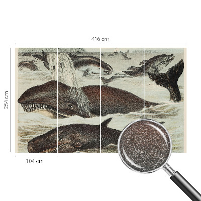 Fototapeta na míru do obýváku Mořští tvorové