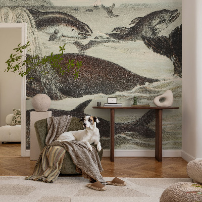 Fototapeta na míru do obýváku Mořští tvorové